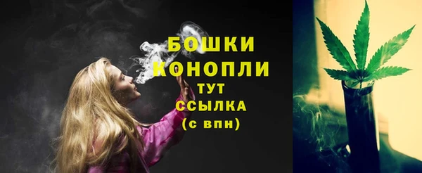 тгк Няндома