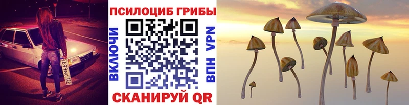 купить наркоту  Сосногорск  Галлюциногенные грибы Magic Shrooms 