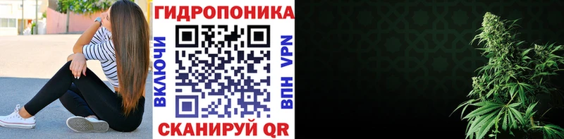 Канабис OG Kush  Сосногорск 